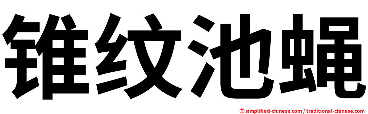 锥纹池蝇