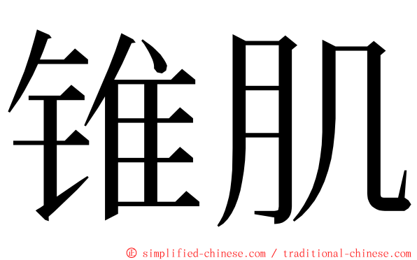 锥肌 ming font