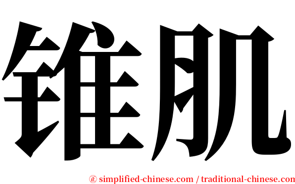 锥肌 serif font