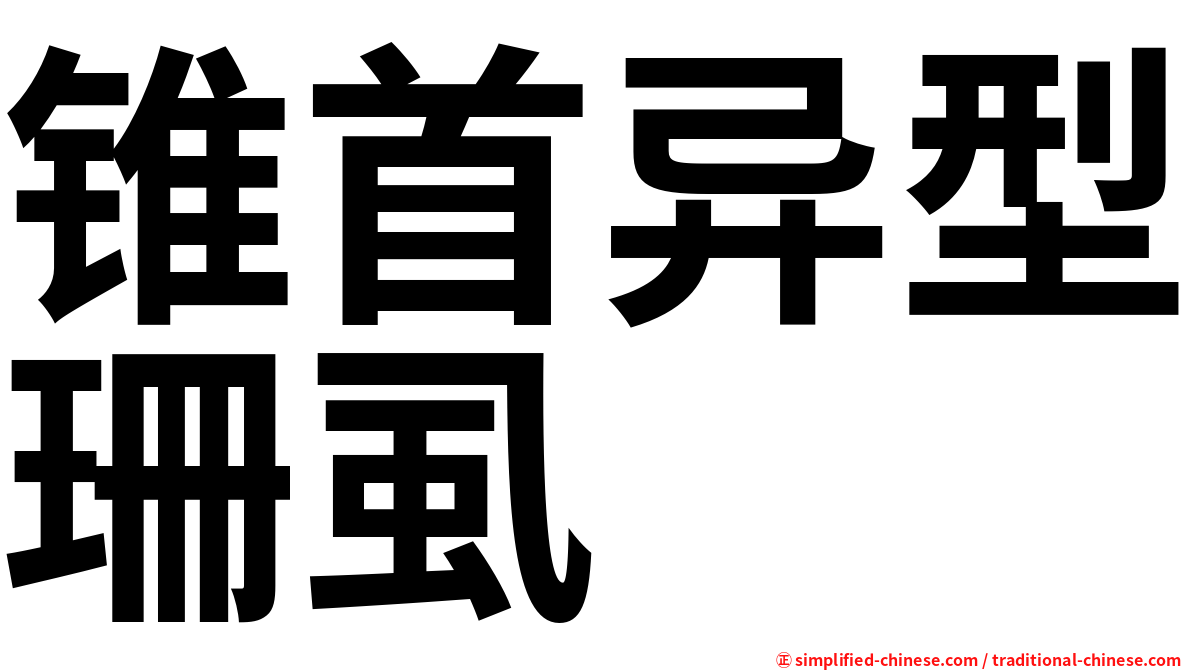 锥首异型珊虱