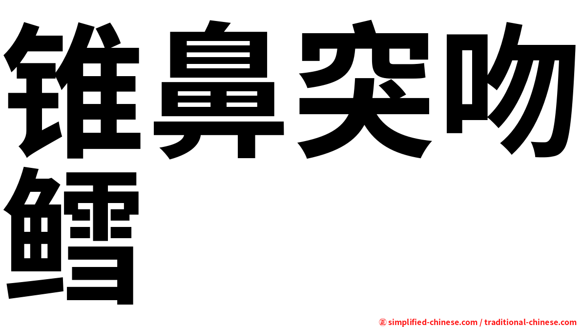 锥鼻突吻鳕