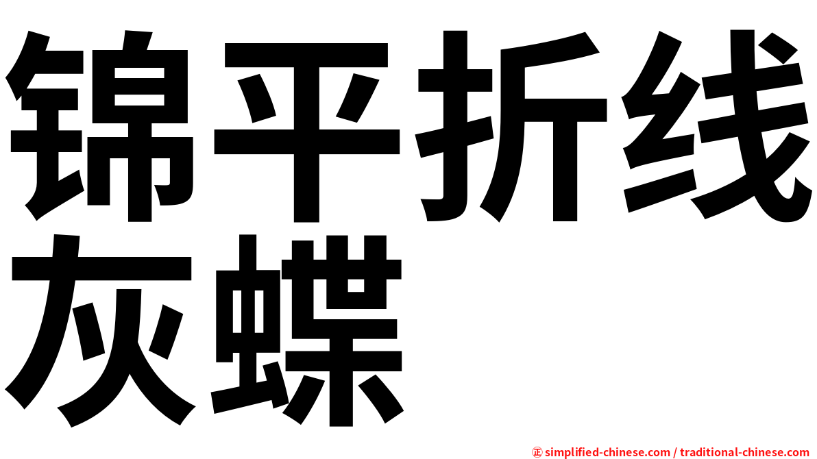 锦平折线灰蝶