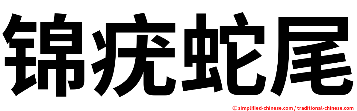 锦疣蛇尾