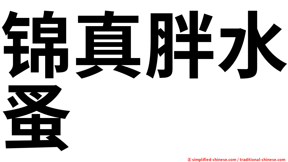 锦真胖水蚤