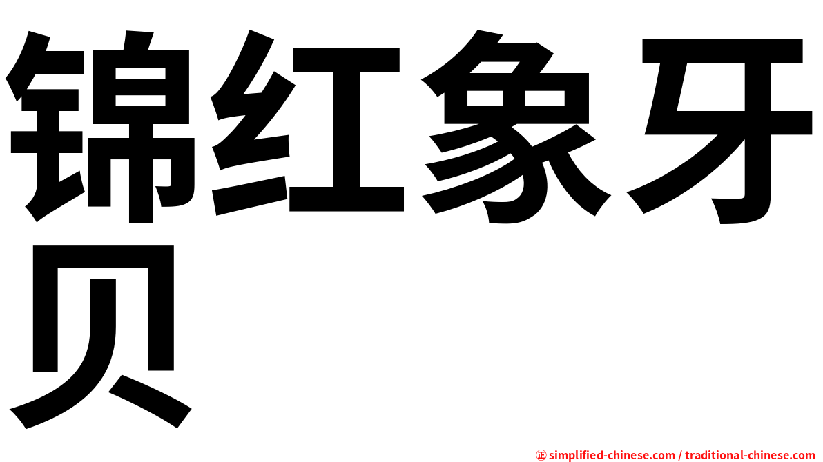 锦红象牙贝