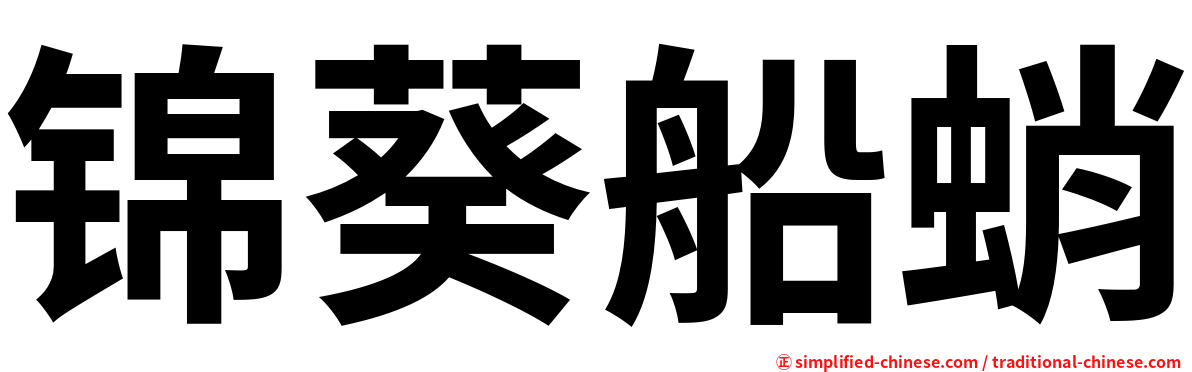 锦葵船蛸
