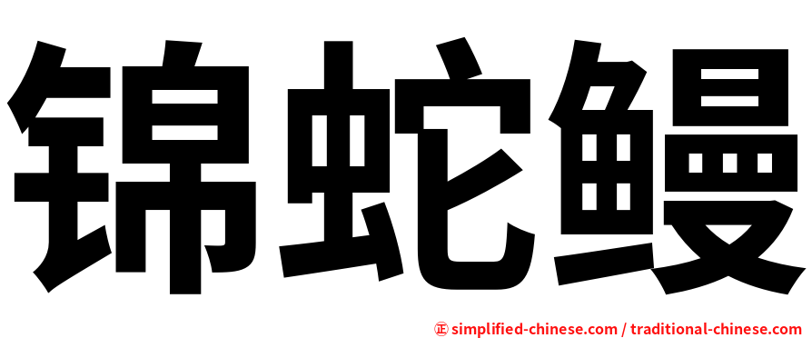 锦蛇鳗