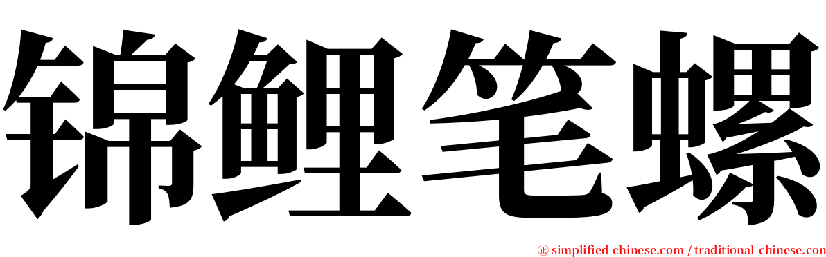 锦鲤笔螺 serif font