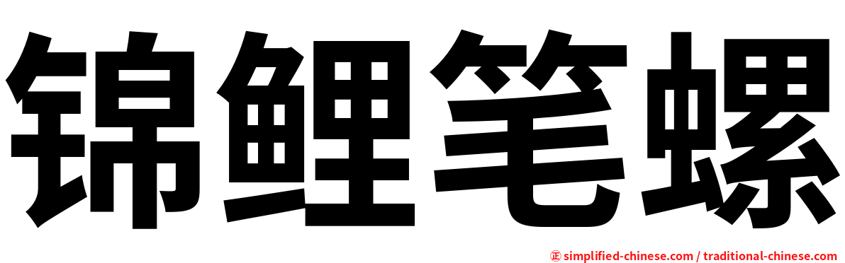 锦鲤笔螺