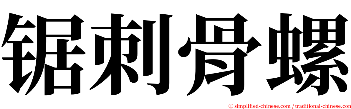 锯刺骨螺 serif font