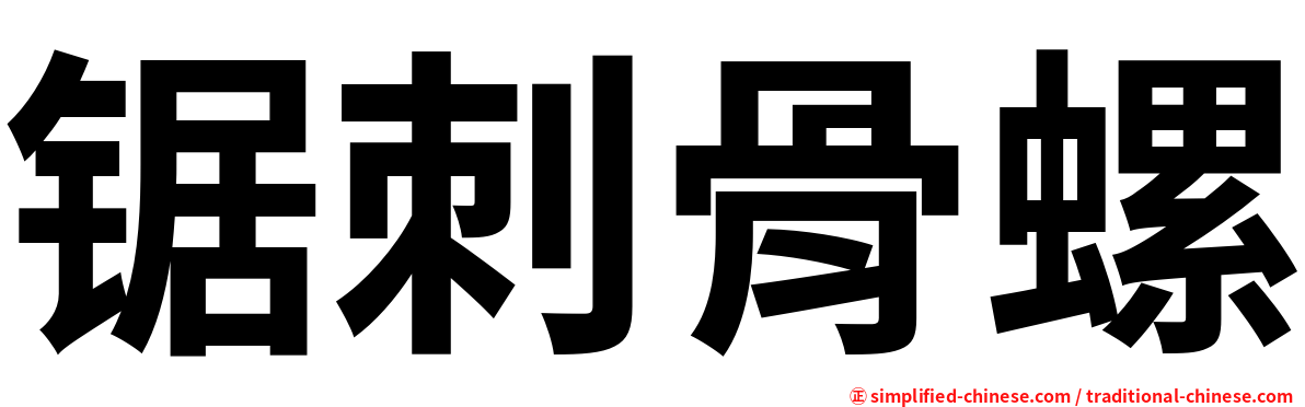 锯刺骨螺