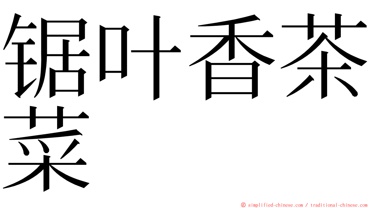 锯叶香茶菜 ming font