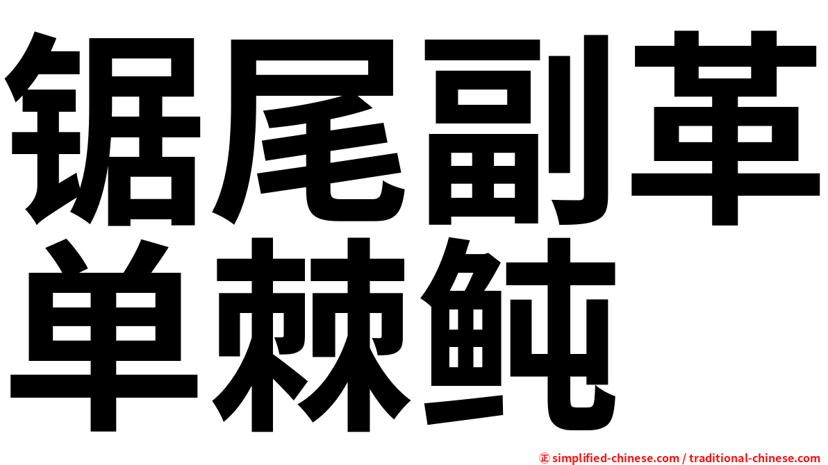 锯尾副革单棘鲀