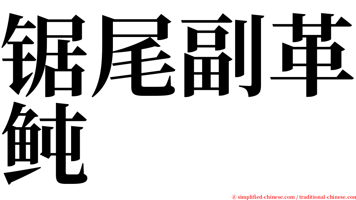 锯尾副革鲀 serif font