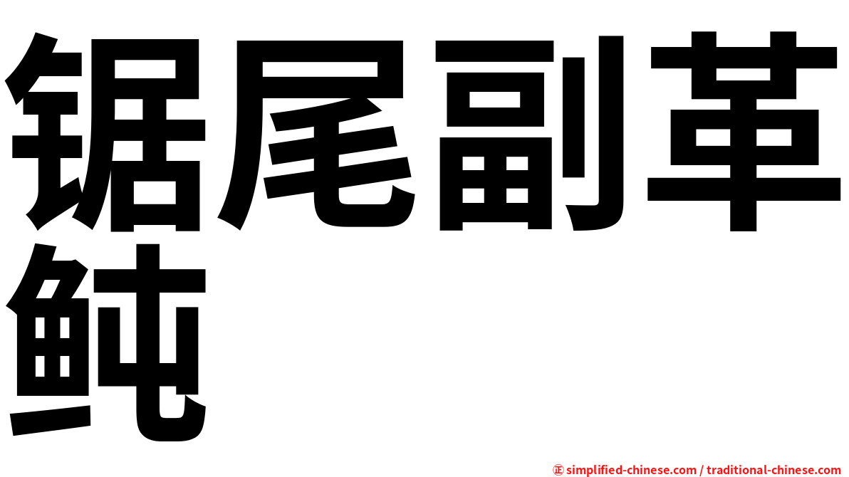 锯尾副革鲀
