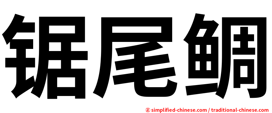 锯尾鲷