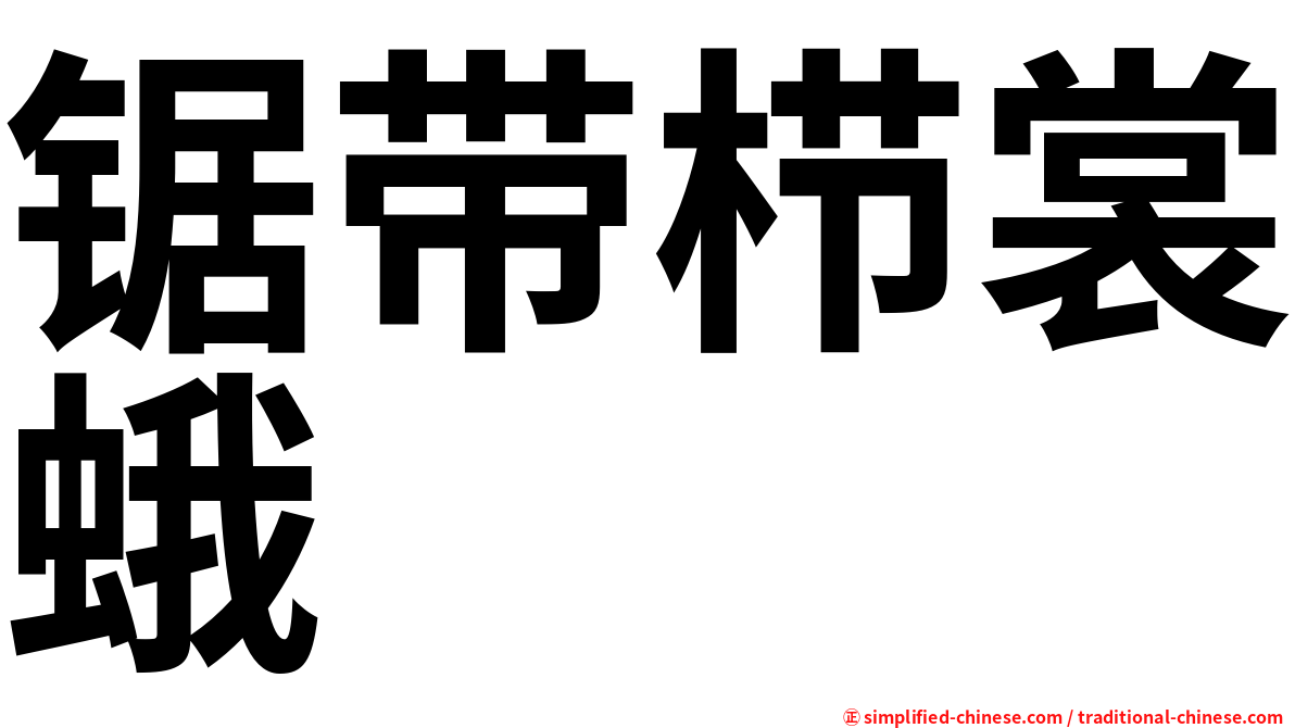 锯带栉裳蛾
