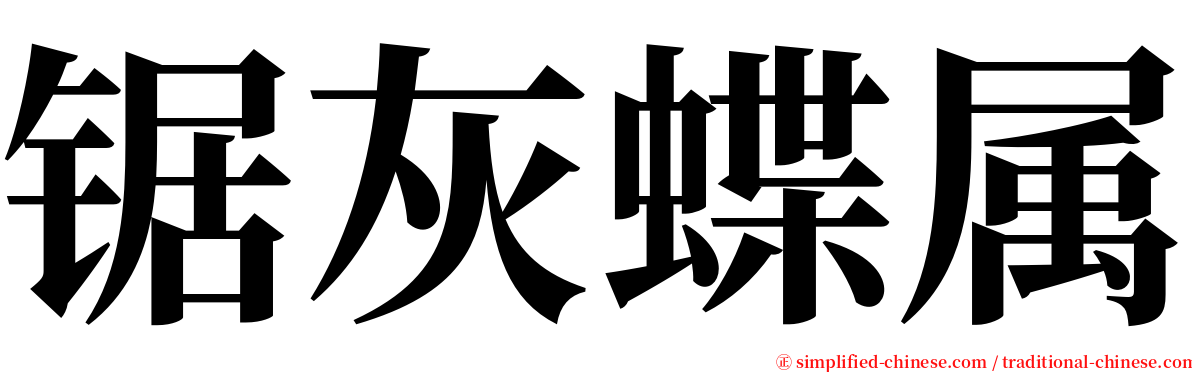 锯灰蝶属 serif font