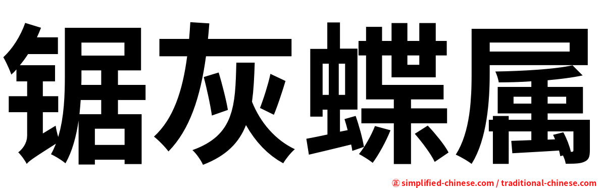 锯灰蝶属
