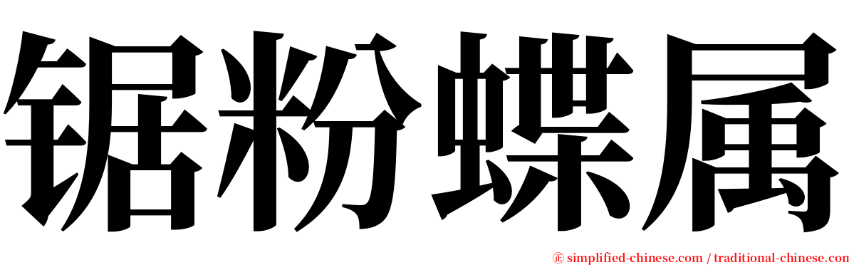 锯粉蝶属 serif font