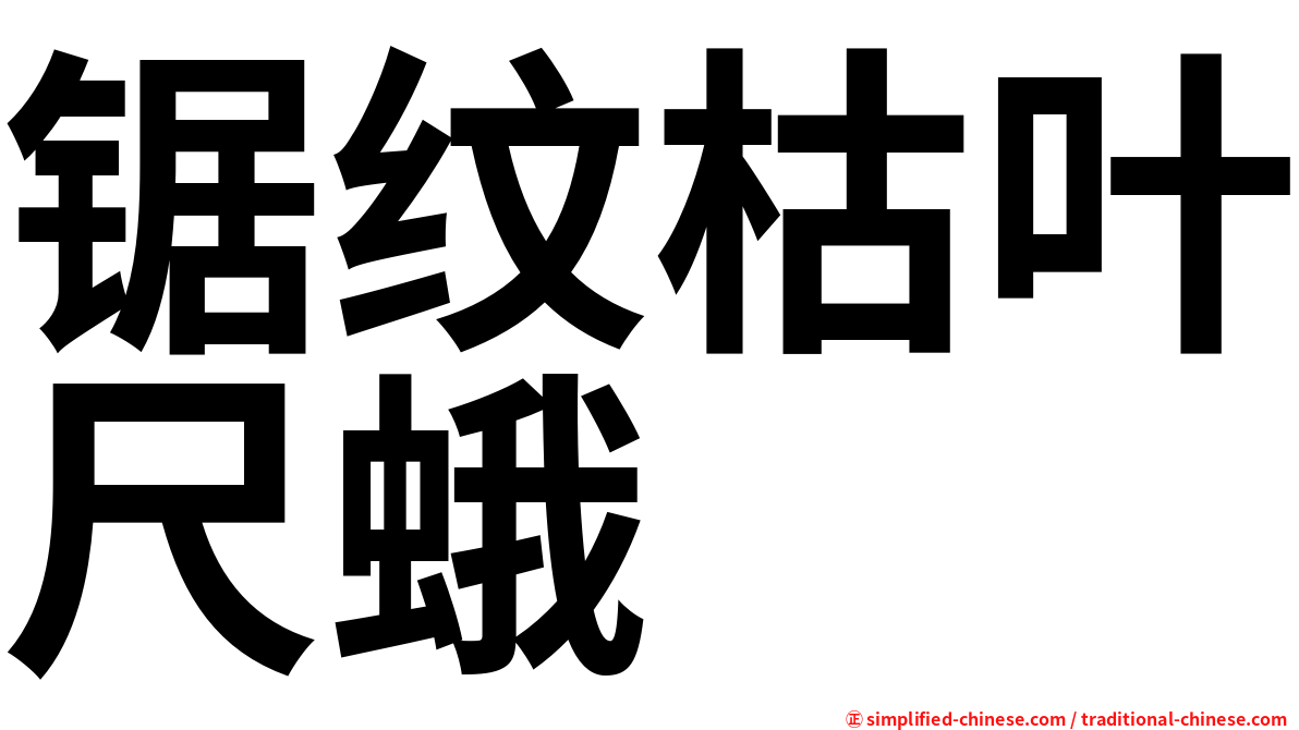 锯纹枯叶尺蛾