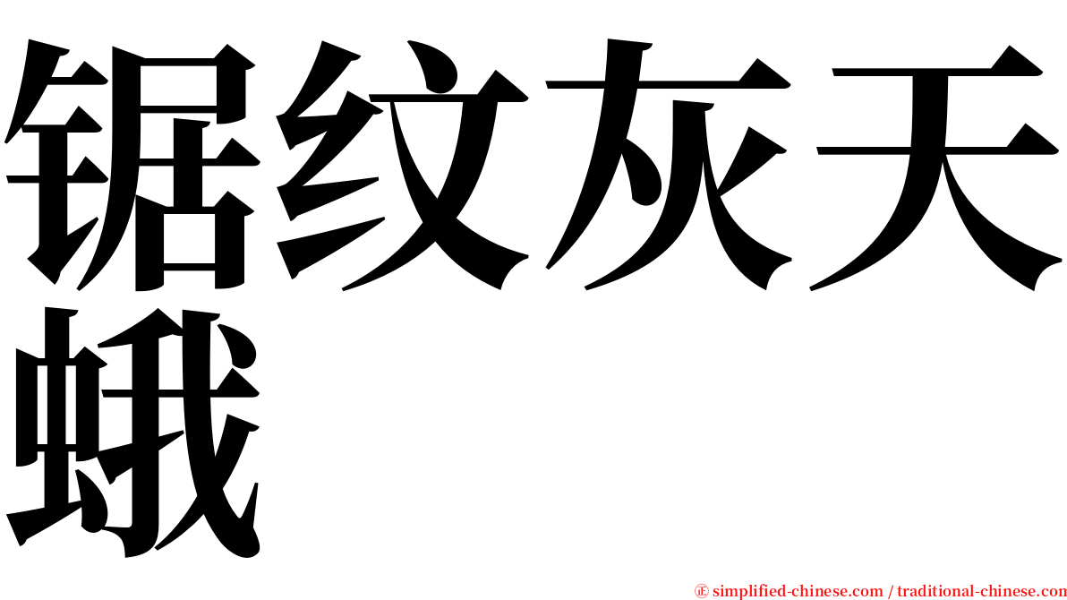 锯纹灰天蛾 serif font