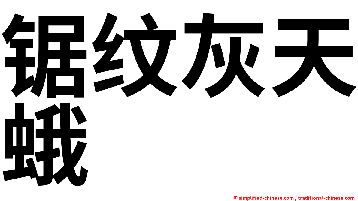 锯纹灰天蛾