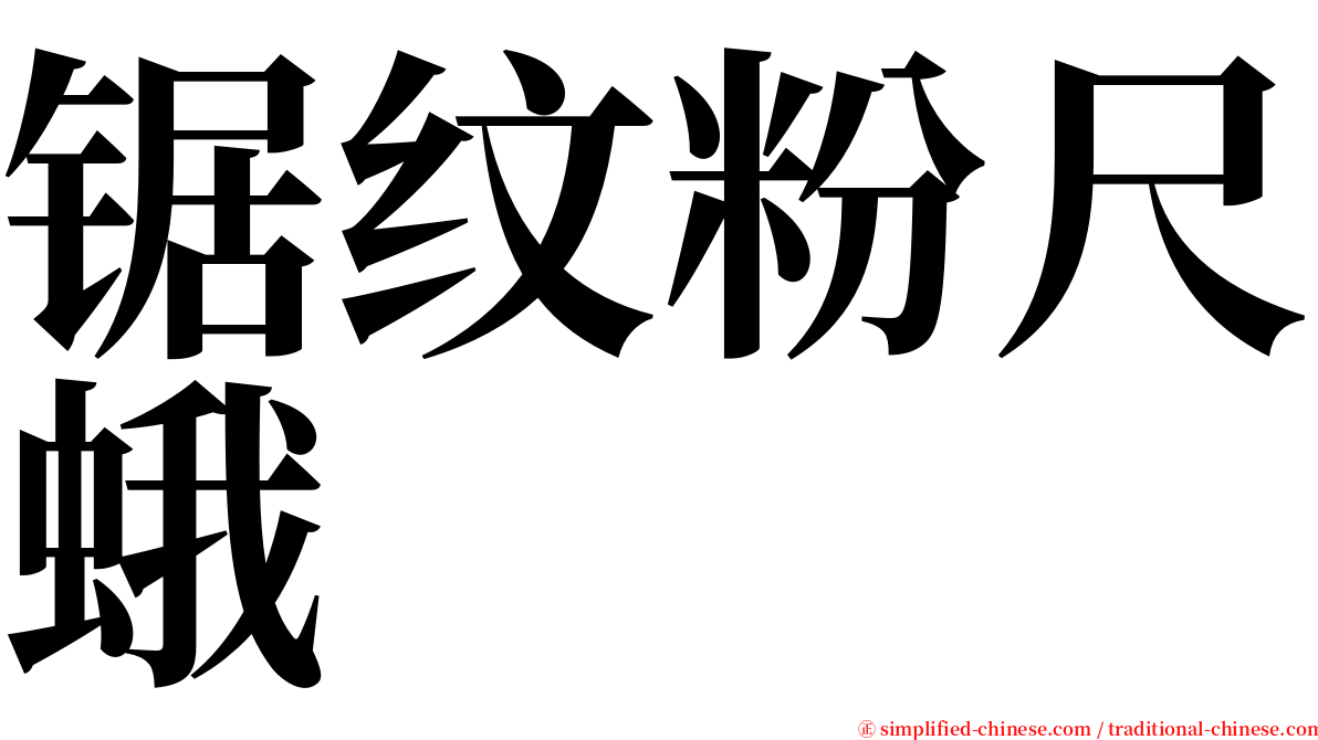 锯纹粉尺蛾 serif font