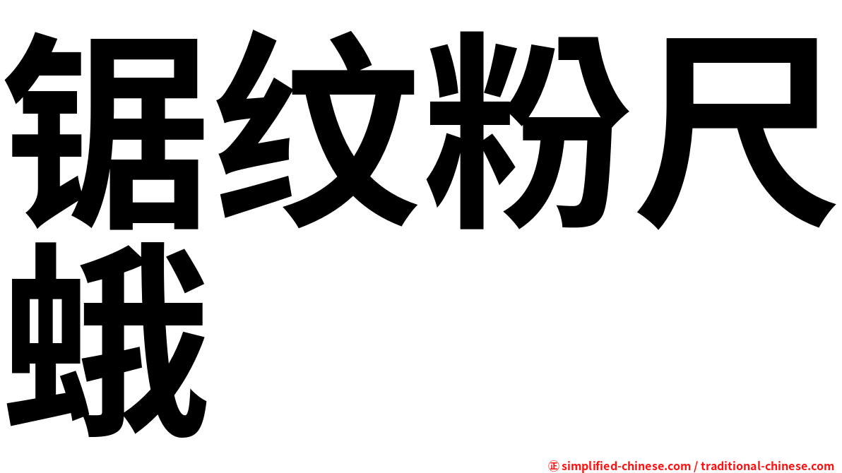 锯纹粉尺蛾