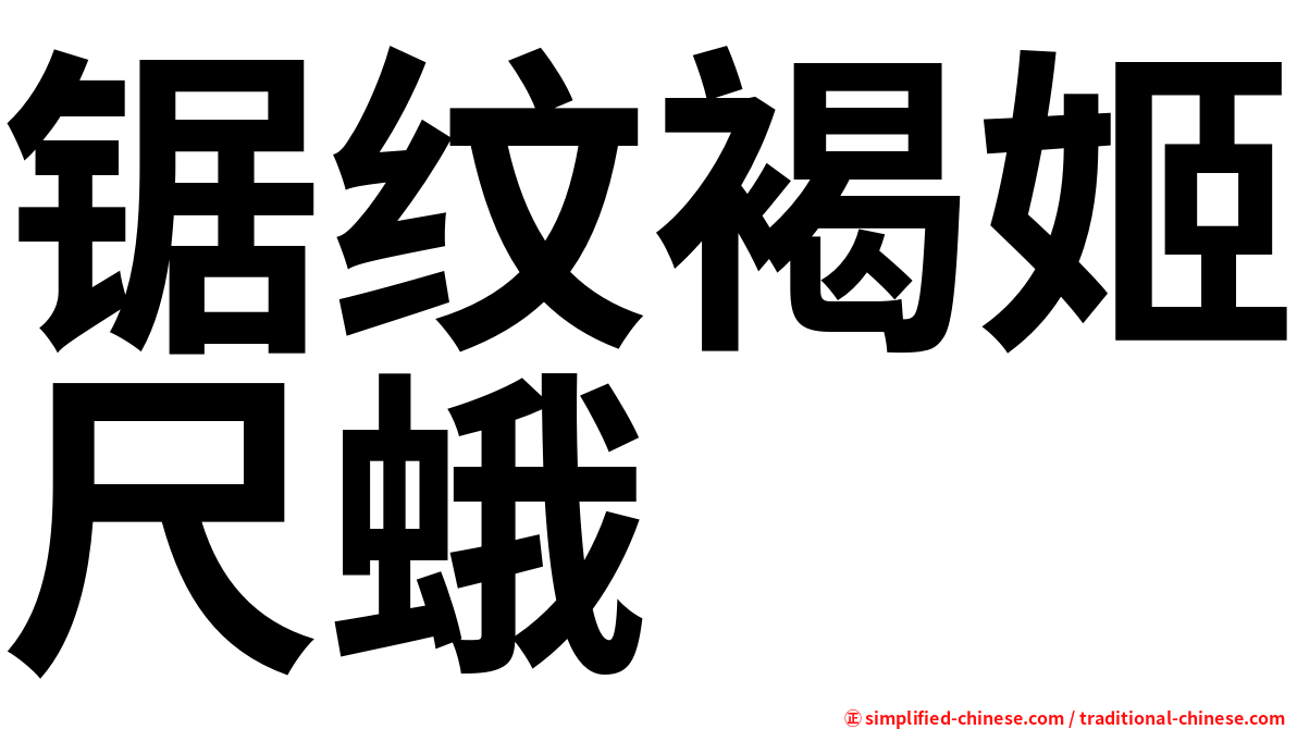 锯纹褐姬尺蛾