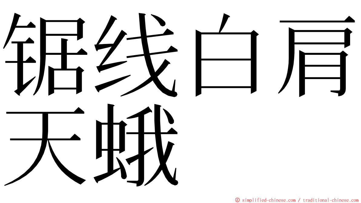 锯线白肩天蛾 ming font