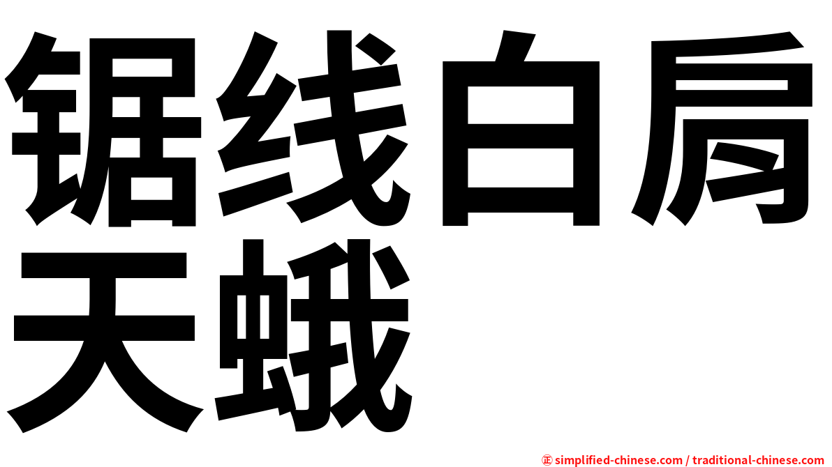锯线白肩天蛾