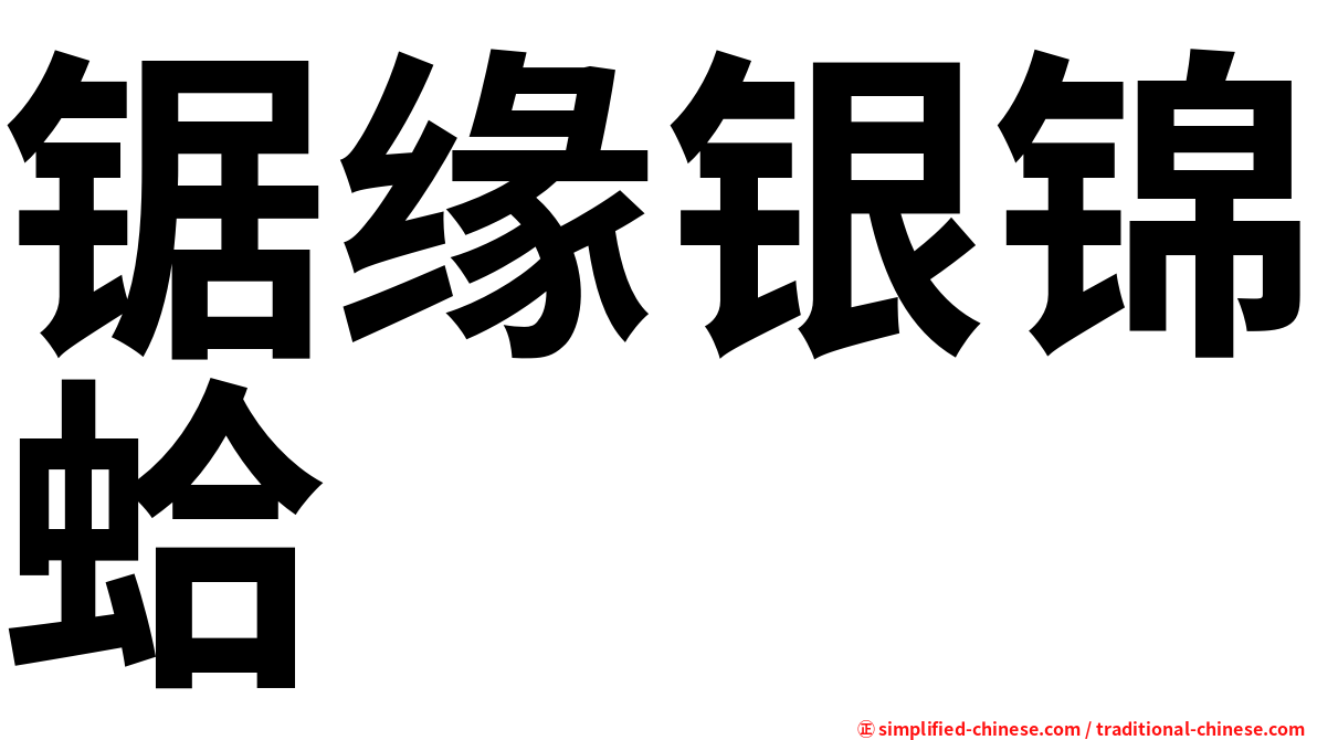 锯缘银锦蛤