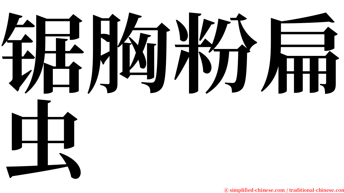 锯胸粉扁虫 serif font