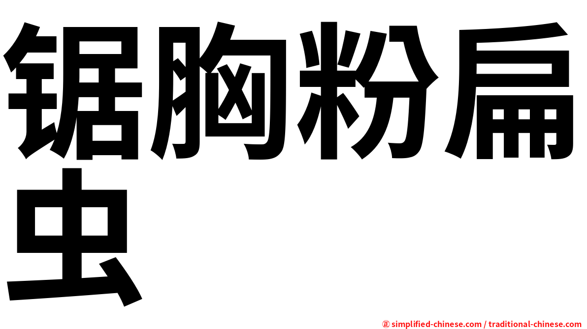 锯胸粉扁虫