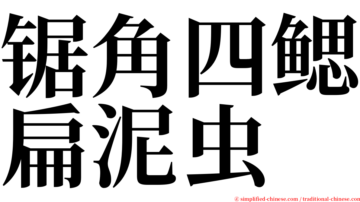 锯角四鳃扁泥虫 serif font