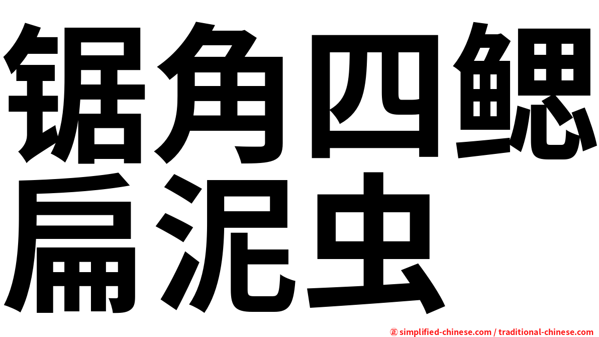 锯角四鳃扁泥虫