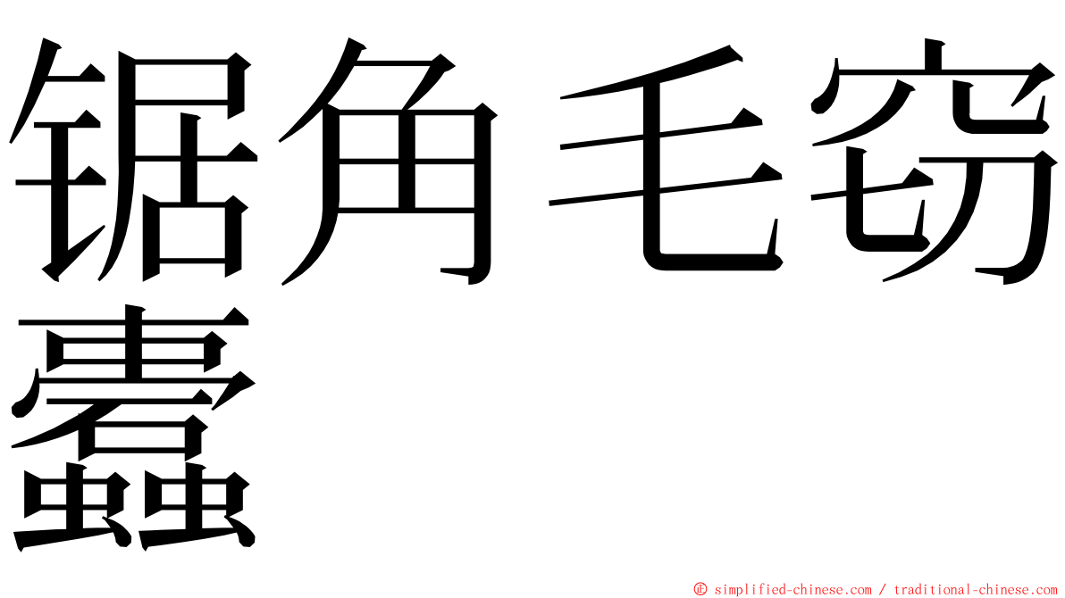 锯角毛窃蠹 ming font