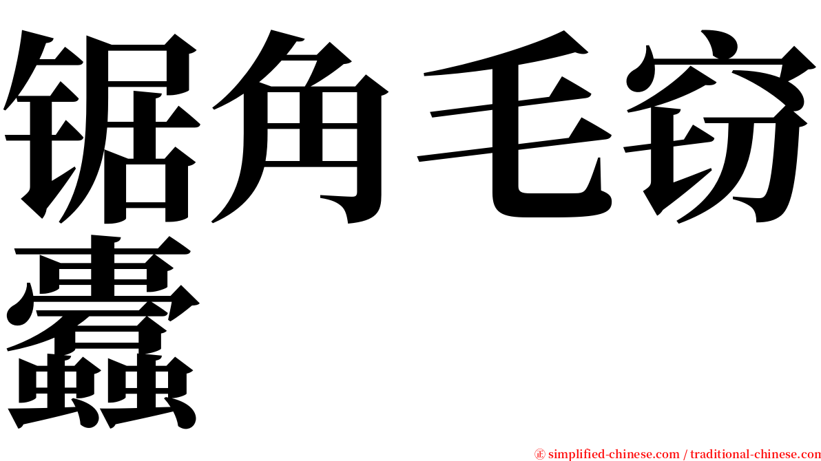 锯角毛窃蠹 serif font