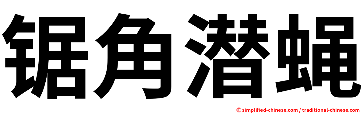 锯角潜蝇