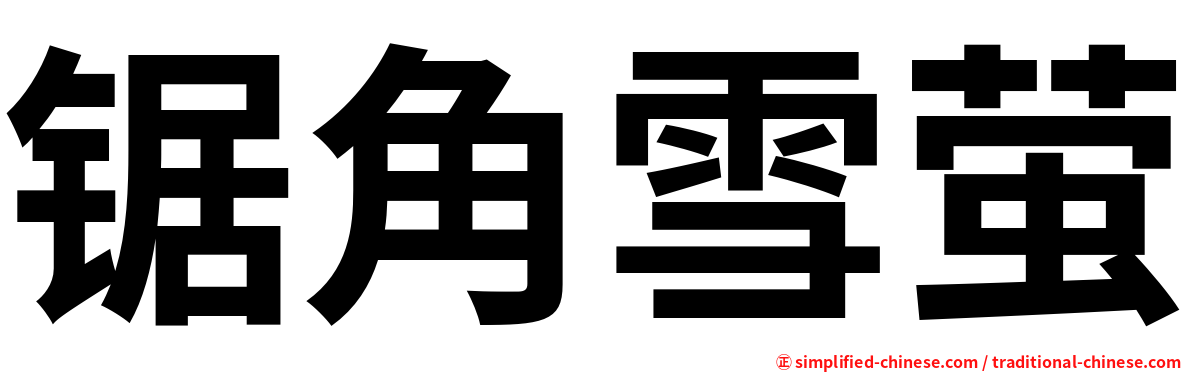 锯角雪萤