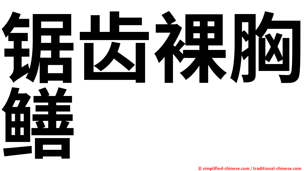锯齿裸胸鳝