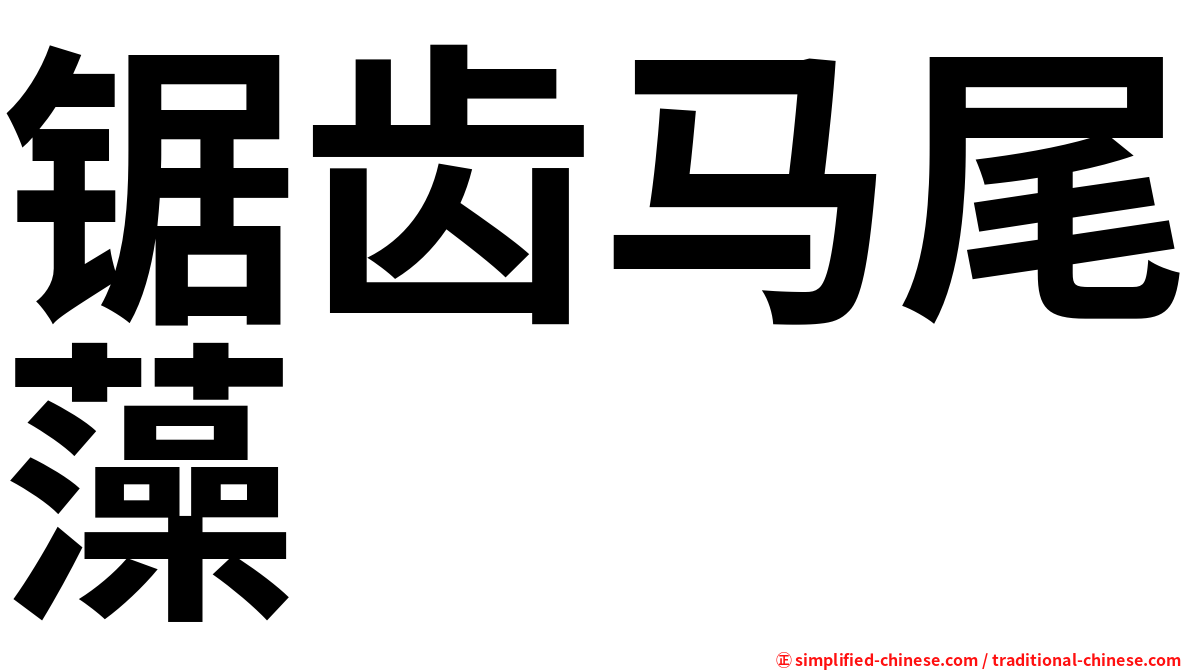 锯齿马尾藻