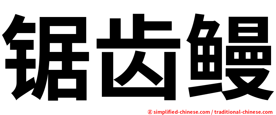 锯齿鳗