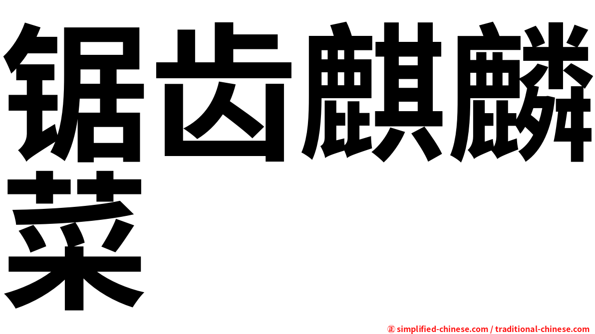 锯齿麒麟菜