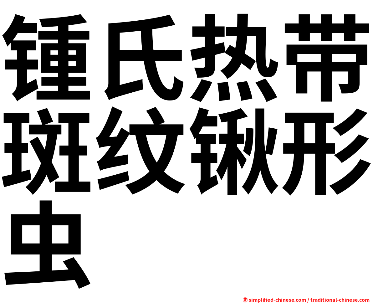 锺氏热带斑纹锹形虫