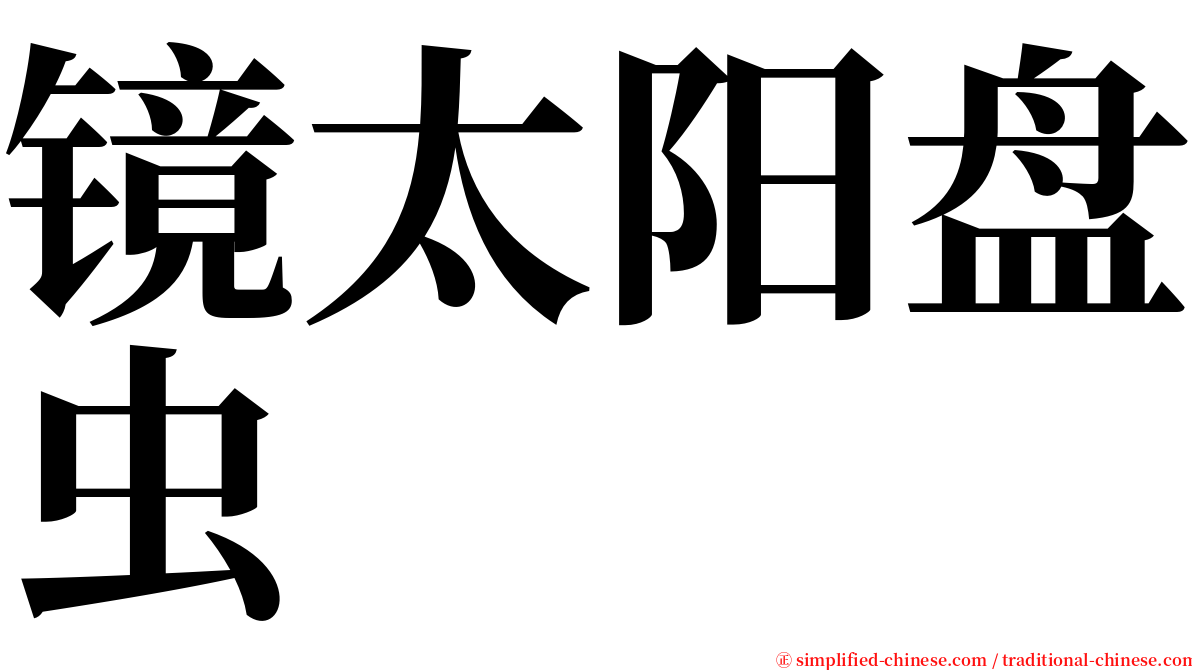 镜太阳盘虫 serif font