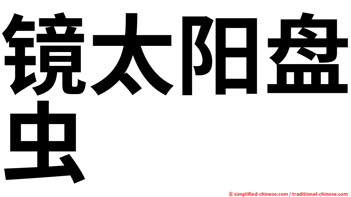 镜太阳盘虫