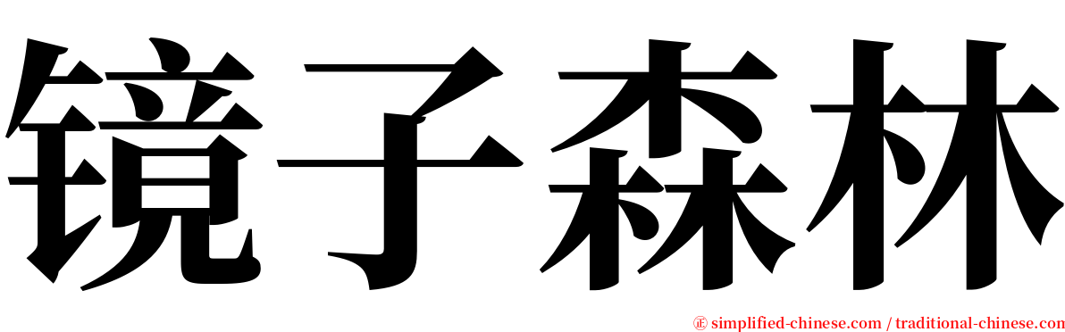 镜子森林 serif font