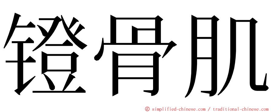 镫骨肌 ming font